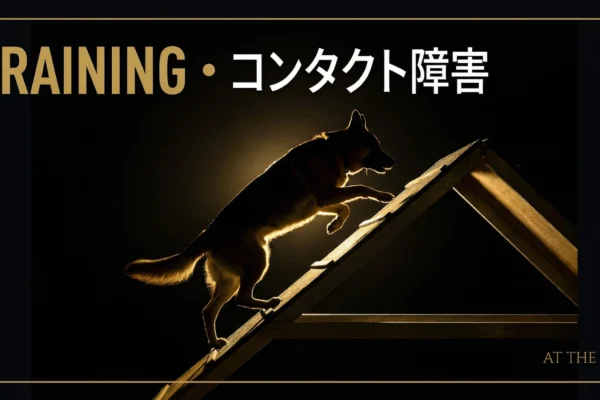 ドッグアジリティで犬の社会化｜他の犬と落ち着ける3ステップ