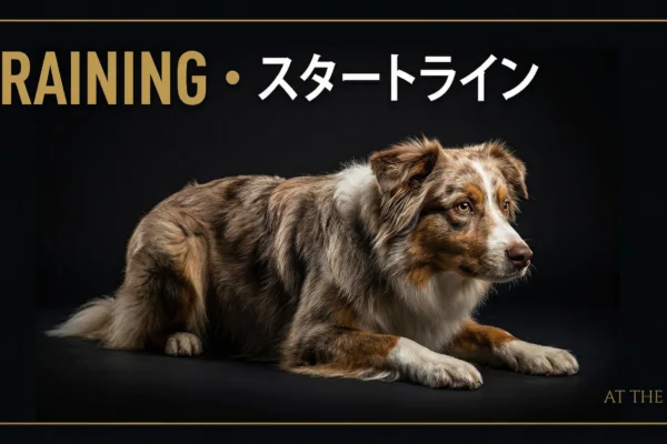 多頭飼いのドッグアジリティ｜複数の犬を同時に訓練する3つの戦略