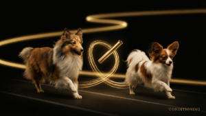 大型犬のドッグアジリティ｜パワーとスピードを制御する3つの戦略