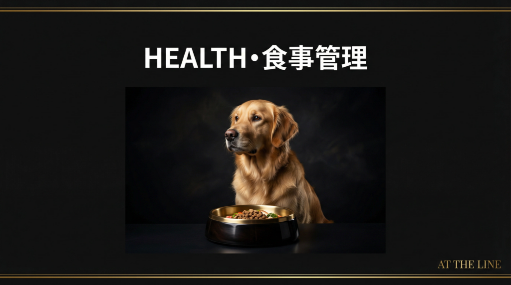 アジリティ犬の食事管理｜三大栄養素とベストな給餌タイミング