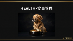 アジリティ犬の食事管理｜三大栄養素とベストな給餌タイミング