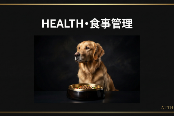 アジリティ犬の食事管理｜三大栄養素とベストな給餌タイミング