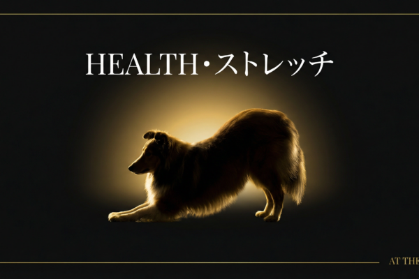 アジリティ犬の怪我予防｜効果的なストレッチ＆マッサージ実践ガイド