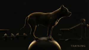 ドッグアジリティ・ハンドラートレーニング完全ガイド｜身体・技術・メンタル強化法