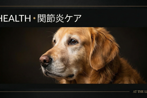 股関節形成不全のアジリティ犬｜競技継続の判断基準と管理プロトコル