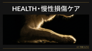 アジリティ犬のマイクロトラウマ予防｜慢性損傷を防ぐコンディショニングと日常ケア