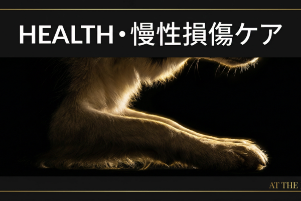 アジリティ犬のマイクロトラウマ予防｜慢性損傷を防ぐコンディショニングと日常ケア