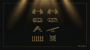 アジリティ障害物の種類と練習方法｜全種徹底解説